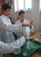 /album/a20181/p1010023-small-jpg17/